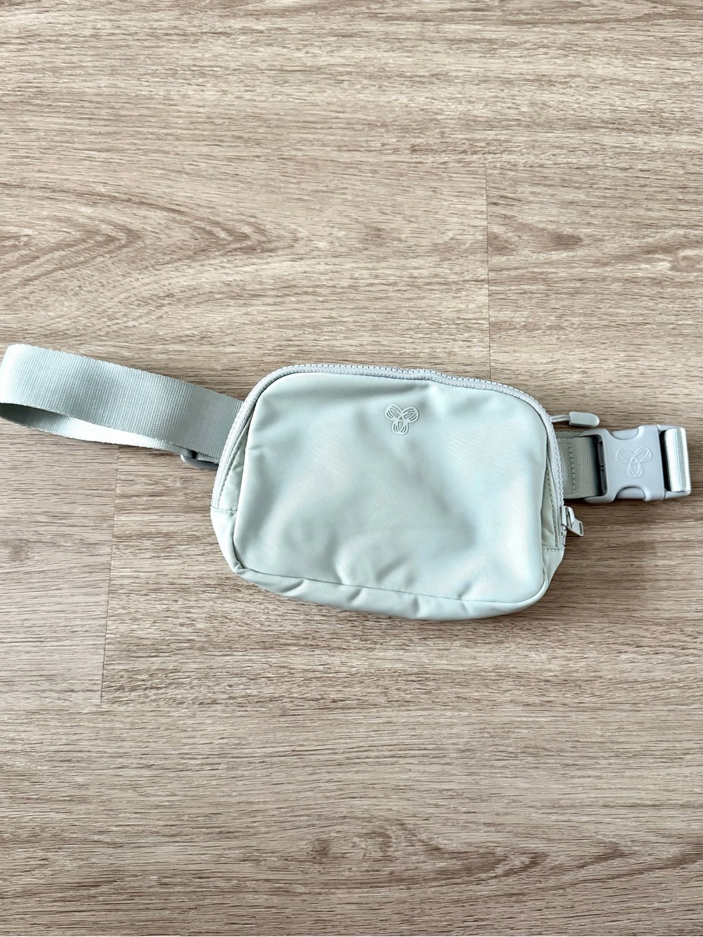Aritzia TnAction Mint Belt Bag